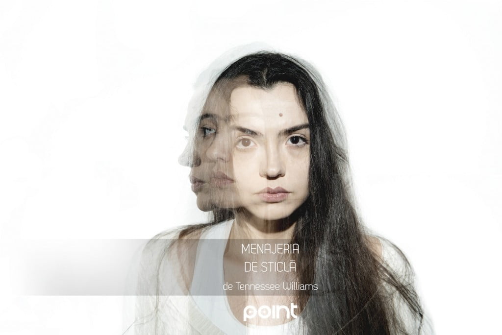 Menajeria de sticla - main image