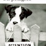 Un pedigri – Amintirile unui scriitor al Parisului