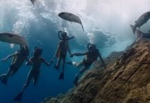 Odiseea (L’Odyssee) – Omagiu adus exploratorului Cousteau, din iubire pentru mare