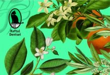 Muza – Povestile tabloului misterios