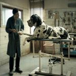 Dogman – Aparitia unui actor pe care vei dori sa il revezi