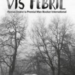 Vis febril – Un roman straniu, din care intelegi ceea ce vrei