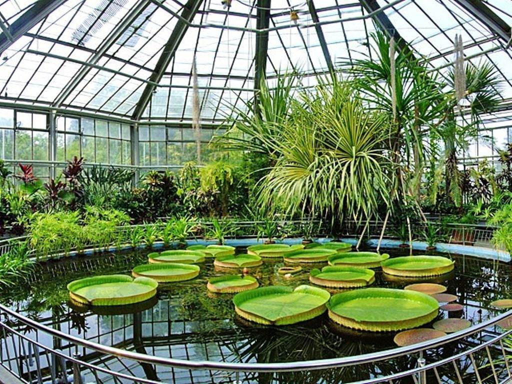 gradina botanica bucuresti locuri de vizitat in bucuresti