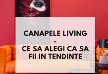 canapele living