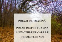 poezii de toamna
