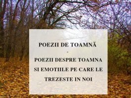 Cele mai frumoase poezii de toamna scrise de poeti romani poezii de toamna