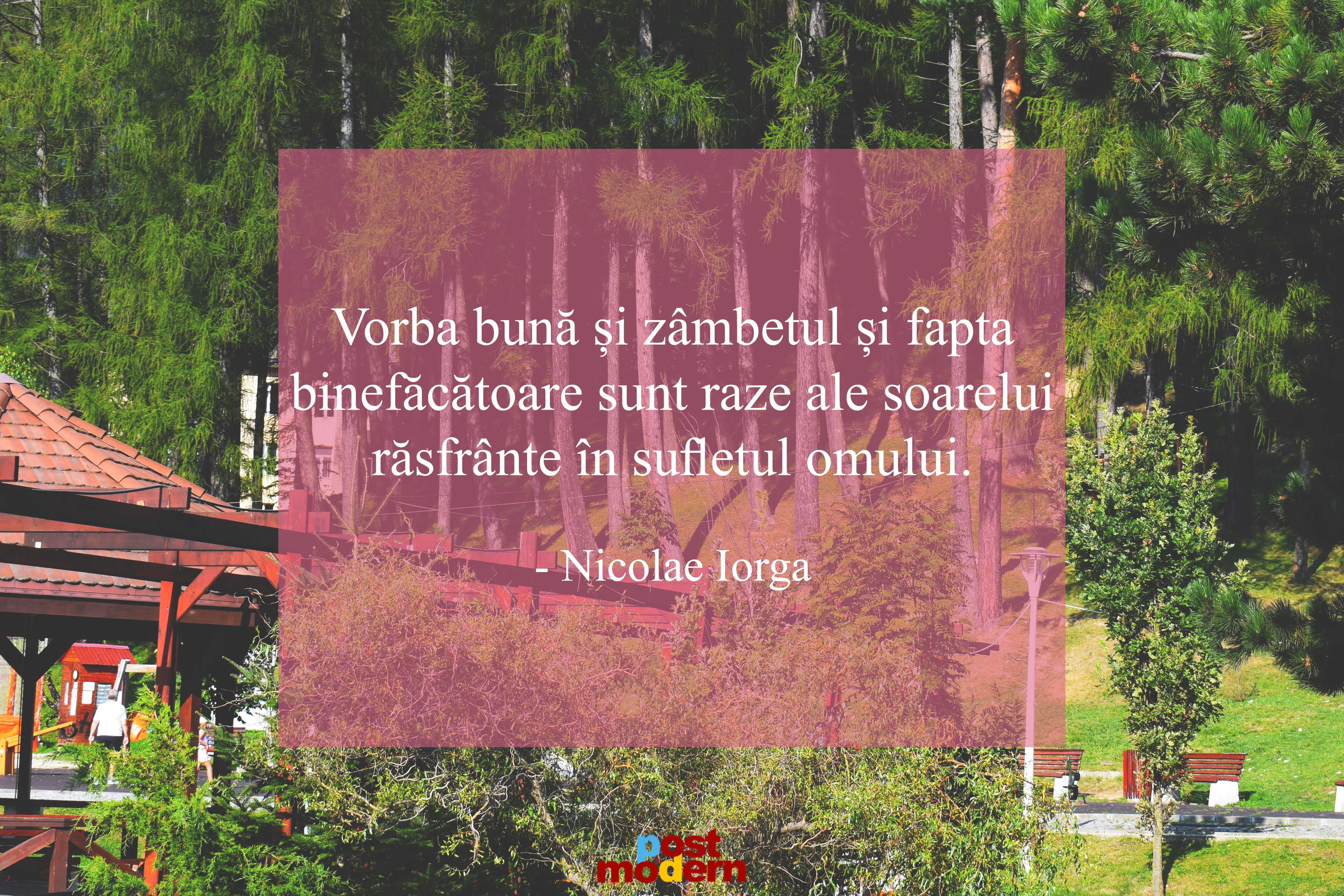 Nicolae Iorga citate