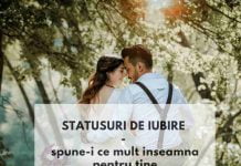 statusuri iubire statusuri de dragoste
