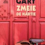 Recenzie – Zmeie de hartie – O mare iubire din Franta idilica