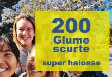 glume scurte