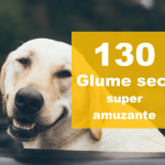 glume seci