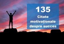 citate despre succes