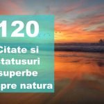 Cele mai frumoase și expresive citate despre natura, mare și munte citate si statusuri despre natura
