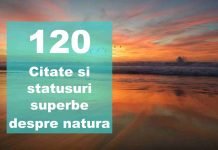 citate si statusuri despre natura