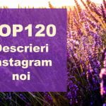 TOP 120 descrieri Instagram noi pentru pozele tale descrieri instagram top noi