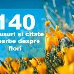 Cele mai frumoase și inspirate 140 statusuri și citate despre flori statusuri citate flori