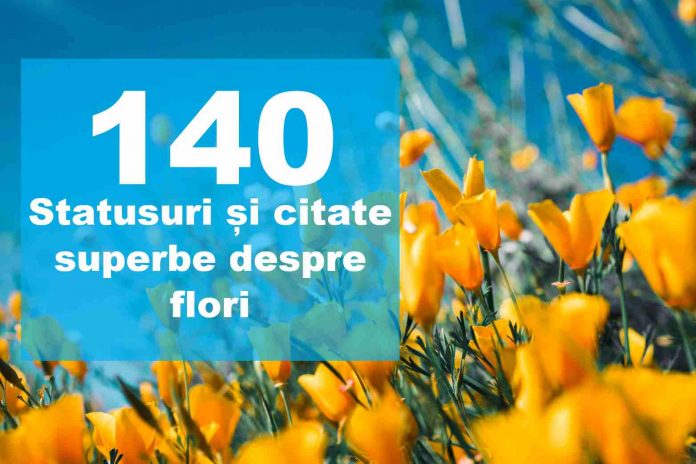 statusuri citate flori statusuri citate flori