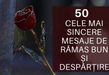 50 cele mai sincere mesaje de rămas bun și despărțire