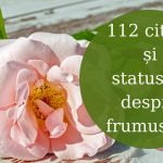 112 cele mai frumoase citate și statusuri despre frumusețe