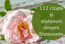 112 cele mai frumoase citate și statusuri despre frumusețe