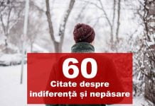 citate despre indiferenta