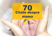 top citate despre mama