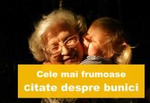 top citate despre bunici