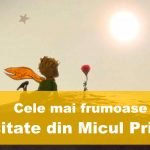 top citate din micul prinț