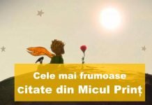top citate din micul prinț