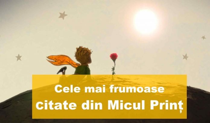 top citate din micul prinț