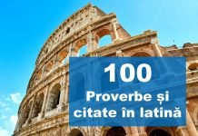top citate in latina proverbe in latina expresii latinesti