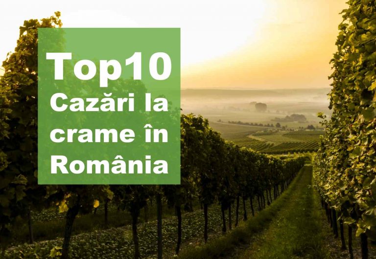 Cazări la cramă – TOP 10 cazări la podgorii în România