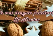 Feliciatri Sf ncolae