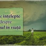 Citate intelepte despre drumul in viata