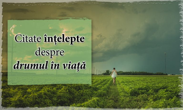 Citate intelepte despre drumul in viata