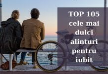 TOP 105 cele mai dulci alinturi pentru iubit