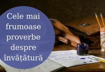 126 Cele mai frumoase proverbe despre învățătură