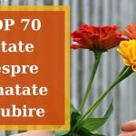 TOP 70 cele mai expresive citate despre bunatate