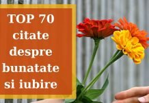 TOP 70 cele mai expresive citate despre bunatate
