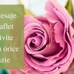 51 Mesaje de suflet potrivite pentru orice ocazie