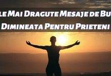 PozaCele Mai Dragute Mesaje de Buna Dimineata Pentru Prieteni