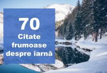 top citate despre iarna