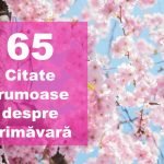 top citate despre primavara