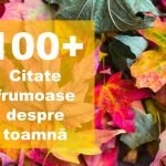 100+ citate despre toamnă, statusuri și proverbe tomnatice frumoase top citate despre toamna