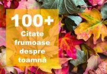 100+ citate despre toamnă, statusuri și proverbe tomnatice frumoase top citate despre toamna