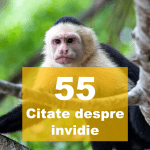 top citate despre invidie