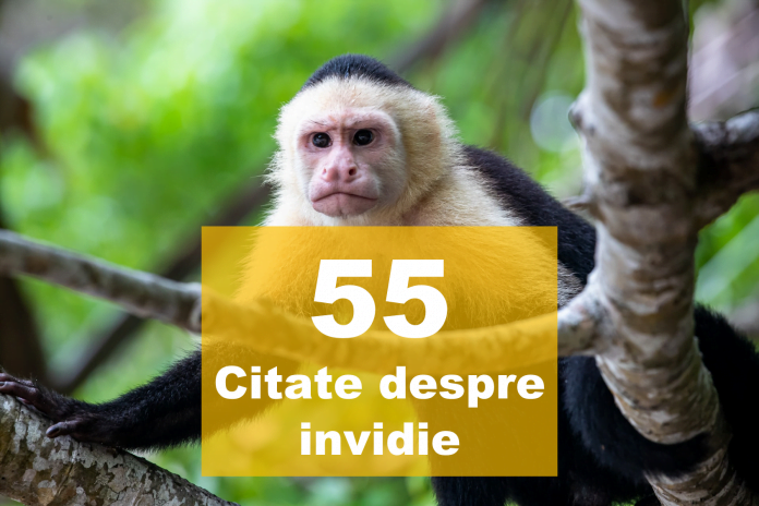 top citate despre invidie