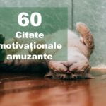 top citate motivationale amuzante