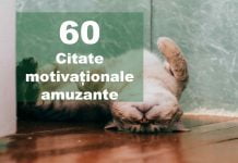 top citate motivationale amuzante