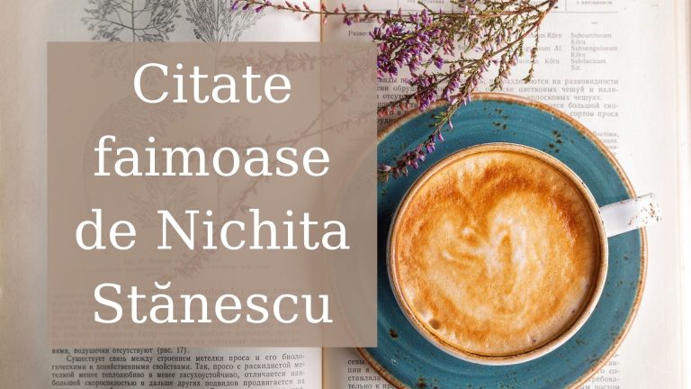 Citate faimoase de Nichita Stanescu